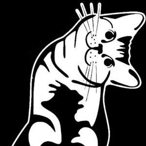 Meet your Posher, Joelene